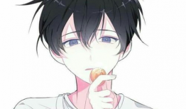 动漫男子,魅力四溢的青春风采